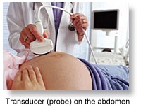 Transducer (probe) on the abdomen